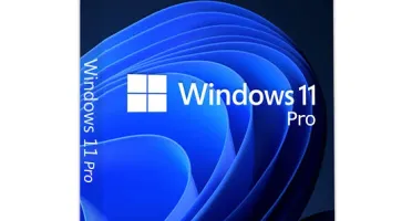 Windows 10 Pro / Windows 11 Pro Activation Key - Global