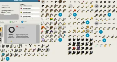 A MELHOR CONTA HABBO RARA