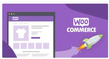 Pack Woo Commerce Plugins