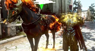 CONTA BLACK DESERT