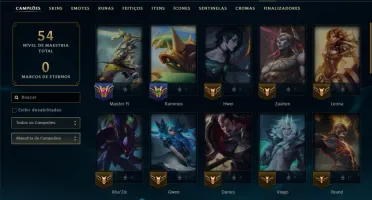 Mestre com 45 Champs e 10 Skins