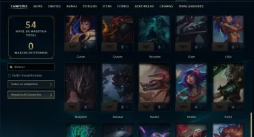 Mestre com 45 Champs e 10 Skins