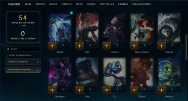 Mestre com 45 Champs e 10 Skins