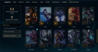 Mestre com 45 Champs e 10 Skins