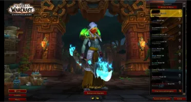 VENDO CONTA WOW - TORRE DOS MAGOS Druid, Priest, Dk, Shaman.