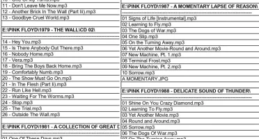 Pendrive 8 Gb Discografia Pink Floyd