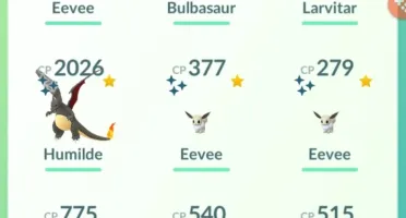 CONTA LEVEL 35 TOP