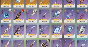 Genshin AR55 - 5* & 4*C6