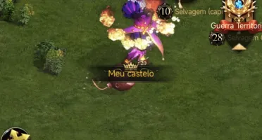 Conta De Clash Of Kings Castelo Nvl 20
