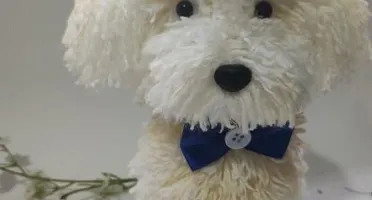 Cachorrinho Poodle - Amigurumi de Crochê
