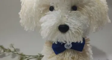 Cachorrinho Poodle - Amigurumi de Crochê