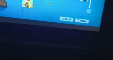 Fortinite 61 Skins 3 Clubes +7 Anos De Jogo