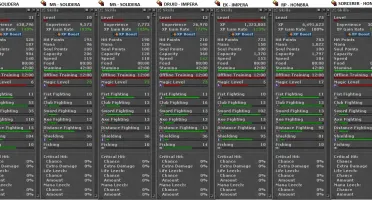 ROYAL PALADINO 290 SKILL 114/98 + MASTER SORCERER 339 ML 92