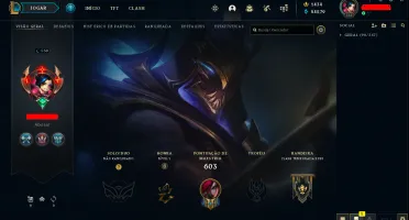 250 SKINS,  1434 DE RP. ICONES E SKINS UNICAS DESSA CONTA