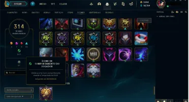 250 SKINS,  1434 DE RP. ICONES E SKINS UNICAS DESSA CONTA