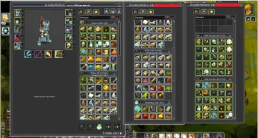 Conta Wakfu Completa - Servidor Rubilax (Melhor custo)