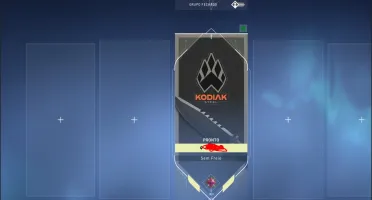 Conta Valorant +1100 gastos muitas skins
