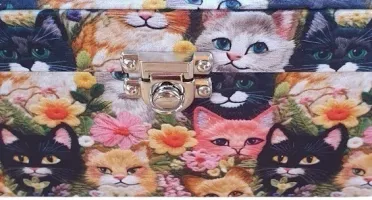 Caixa Grande para Bijuterias e Joias Estampa de Gatinhos