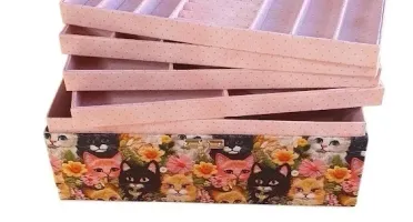 Caixa Grande para Bijuterias e Joias Estampa de Gatinhos