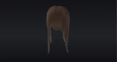 UGC Roblox Cabelo