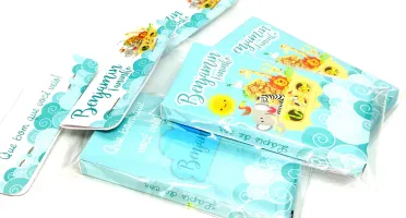 Mini Lápis de Cor com Caixa Safari 6 Cores