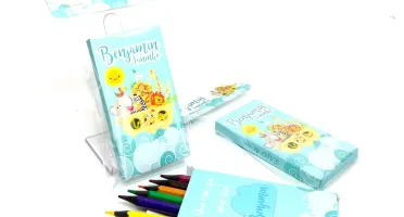 Mini Lápis de Cor com Caixa Safari 6 Cores