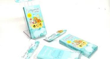Mini Lápis de Cor com Caixa Safari 6 Cores