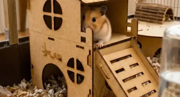 Casinha Loft 2 Andares para Hamster - Flap Pet