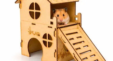 Casinha Loft 2 Andares para Hamster - Flap Pet