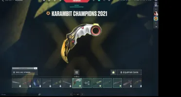 Conta com champions 21 e 22