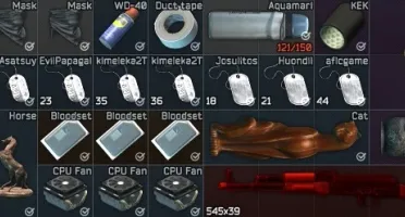 CONTA ESCAPE FROM TARKOV LVL 22 - STANDARD EDITION