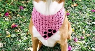 Bandana Pet em Crochê
