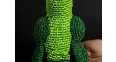 Papagaio em Amigurumi