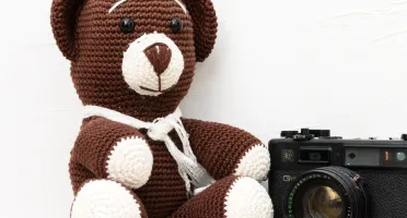 Urso Marrom Manta