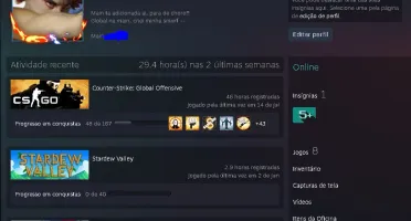 CONTA PRIME CSGO - AK CRUZADA