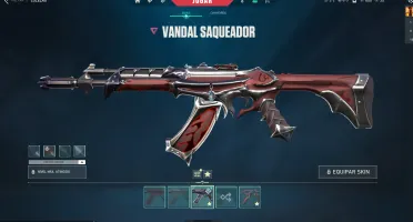 conta valorant com bastante skin