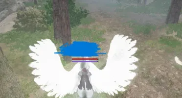 Conta Bdo