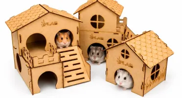 Kit 3 Casinhas Premium para Hamster - Flap Pet