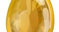 Dofus ocre (SPÌRITIA