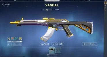 CONTA VALORANT COM UMA SKIN DE VANDAL