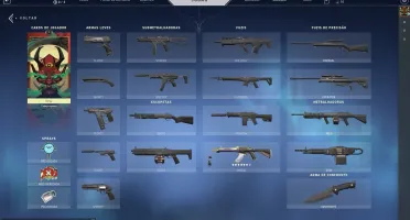 CONTA VALORANT COM UMA SKIN DE VANDAL