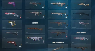 Conta Valorant (7K500 Gasto, Skins, Chaveiros, Icones E Etc
