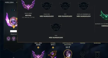 Mestre com 75 Champs e 10 Skins ( 70 PDL )