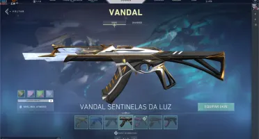 Conta valorant (varais skins e passe)