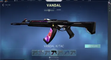 Conta valorant (varais skins e passe)