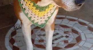 Bandana Pet em Crochê