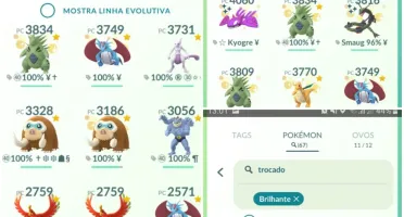 CONTA POKEMON GO LEVEL 42 com 535 shinys e 83 100%iv