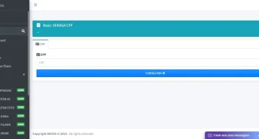 Top 1 Painel De Consulta dados Do Brasil! PLANO 30 DIAS