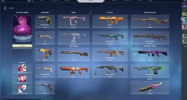 Conta valorant com todos Passes de ato +skin tematicas.