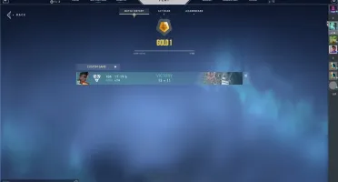 Conta valorant com todos Passes de ato +skin tematicas.